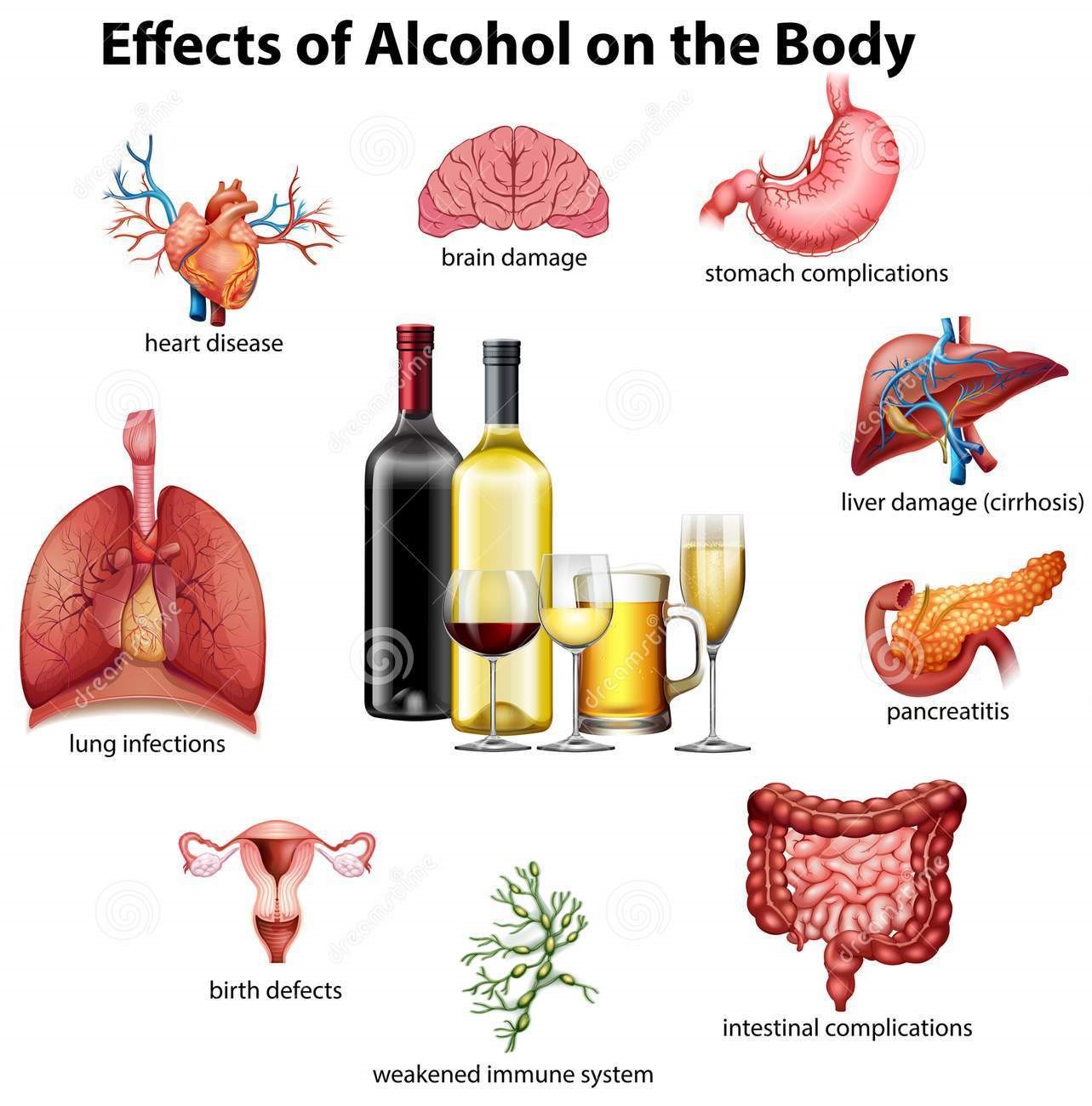 gevolgen van alcohol voor het lichaam 119209909 1